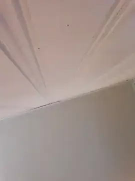 Stripchat Watch Live Sex Cams of Dahbiggest91