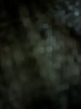 Stripchat Live Sex Cam of Mr_hottie_21