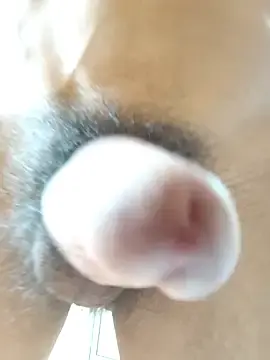 Stripchat Live Sex of mm-xg