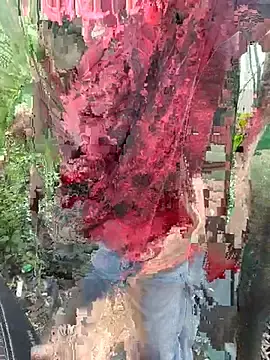 Stripchat Live Sex of Kaalkoot