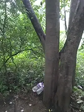 Stripchat Live Sex Cam of Kaalkoot