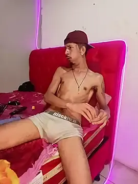 Stripchat Adult Webcam of theyllorwillian