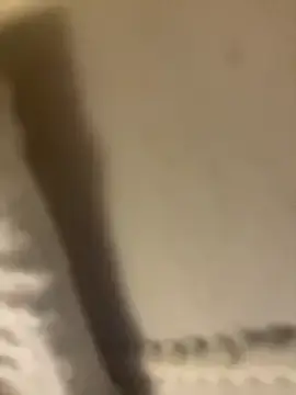 Stripchat Live Porn of llovetoshowoff