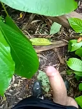 Stripchat Nude Webcam of FeloBad