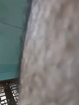 Stripchat Live Porn of Hairy_hunk32