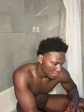 Stripchat Best Webcam of Festivitiesking1